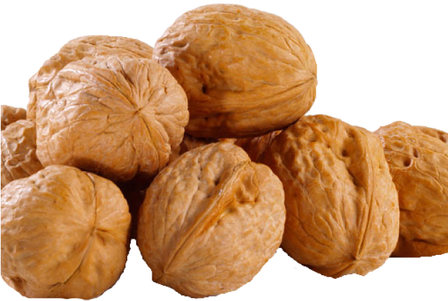 Walnut Clipart Transparent - Walnut Whole (640x480), Png Download