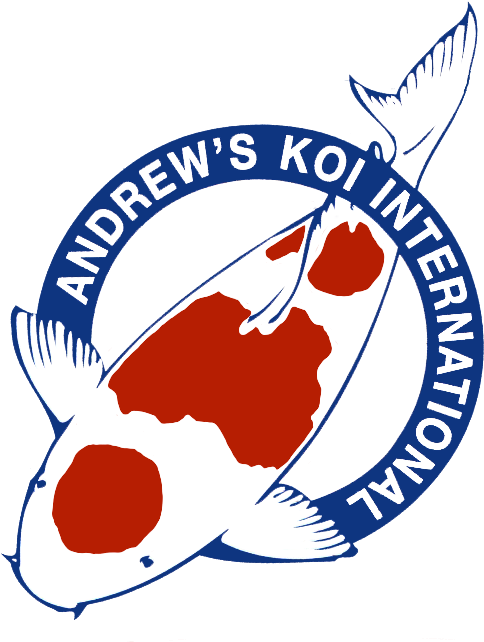 Our Major Sponsors (562x651), Png Download
