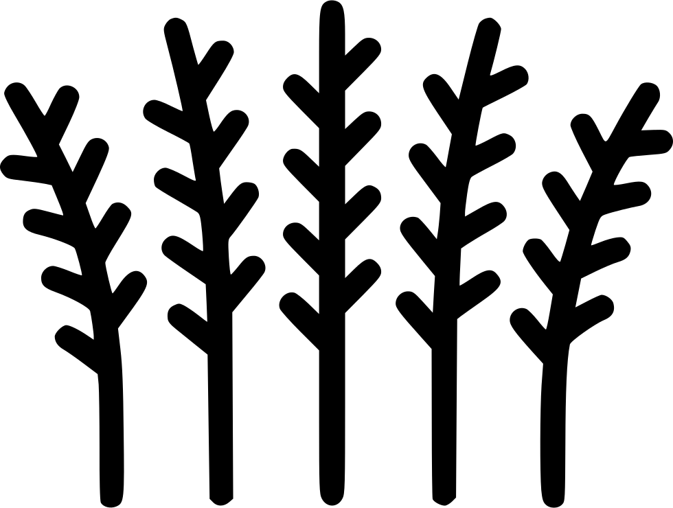 Png File (980x740), Png Download