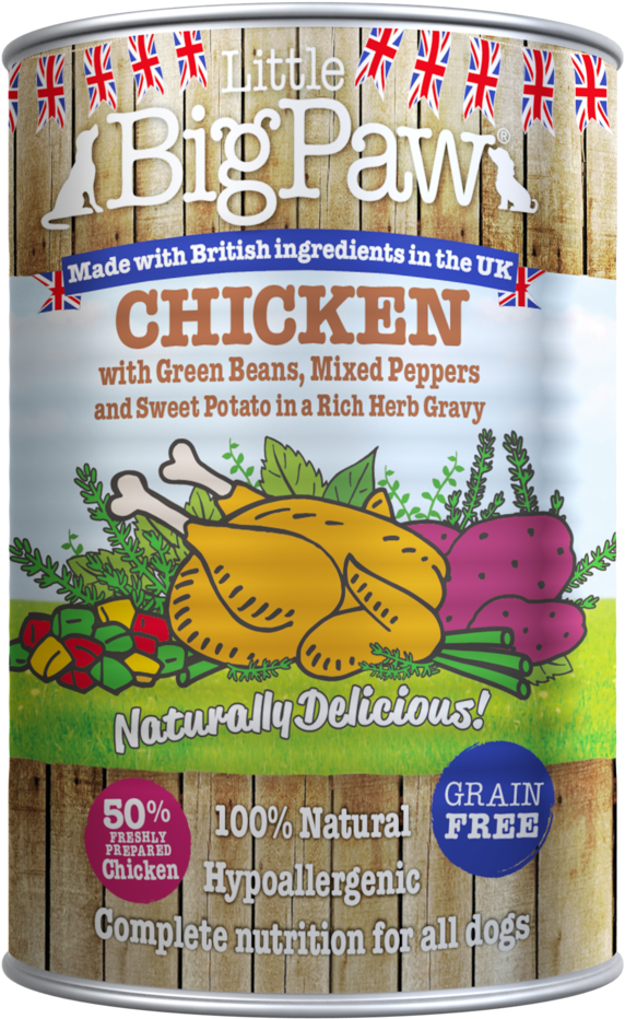 Chicken - Little Big Paws (595x897), Png Download