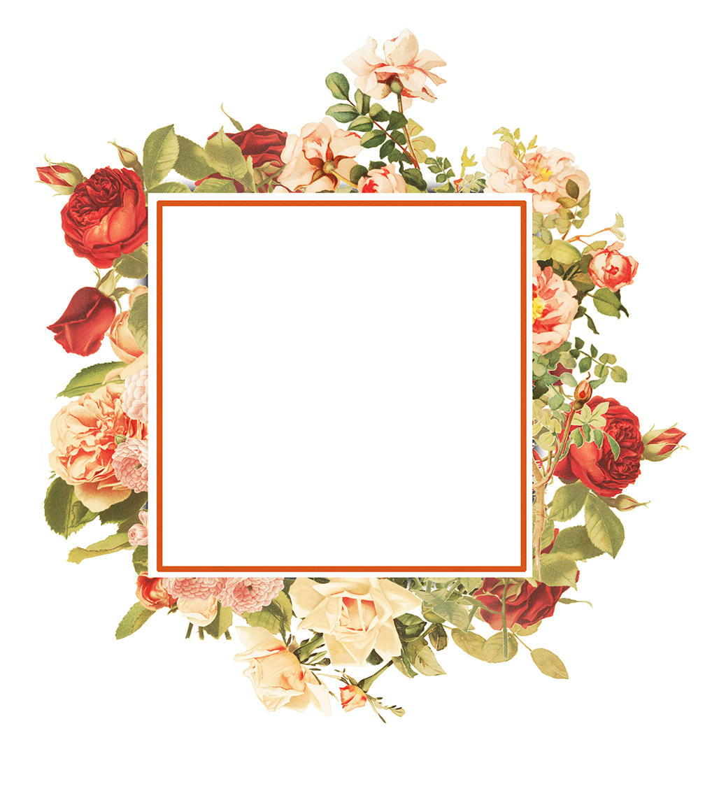 Download - Garden Roses (1200x1200), Png Download