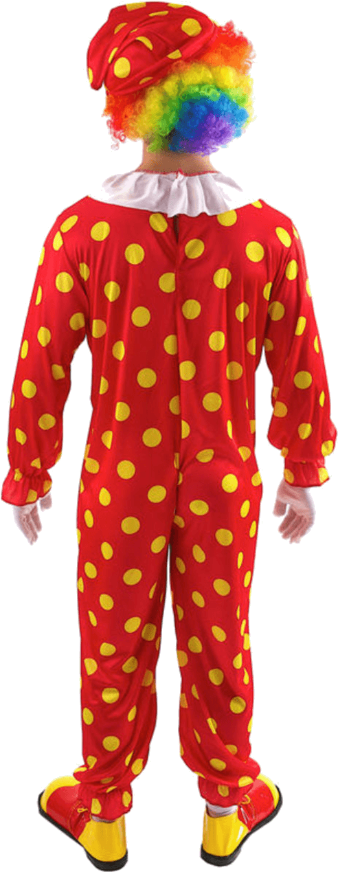 Bobbles The Clown Outfit - Clown (800x1268), Png Download