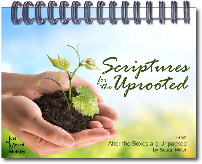 Plantation (917x697), Png Download