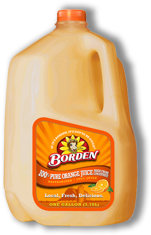 100 Percent Pure Orange Juice - Borden Orange Juice Gallon (380x500), Png Download