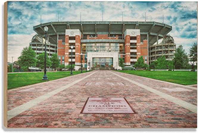 Alabama Crimson Tide Bryant-denny™ Stadium Wood Art - Bryant-denny Stadium (800x800), Png Download