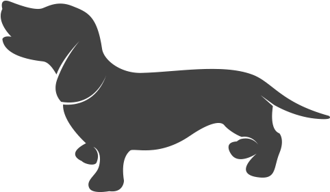 Dachshund - Perro Salchicha Vector (502x300), Png Download