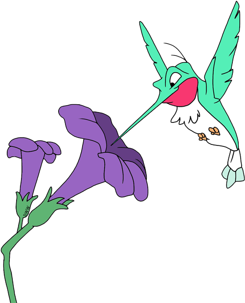 Banner Black And White Download Flit Meeko Clip Art - Flit Hummingbird (510x618), Png Download