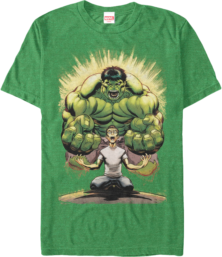 Monster Within Incredible Hulk T-shirt - Metal Print: Mcguinness' Hulk No.13 Cover: Banner, (741x858), Png Download