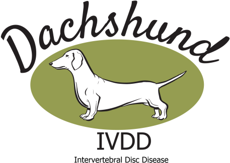 Www - Dachshund-ivdd - Uk - Portable Network Graphics (534x359), Png Download