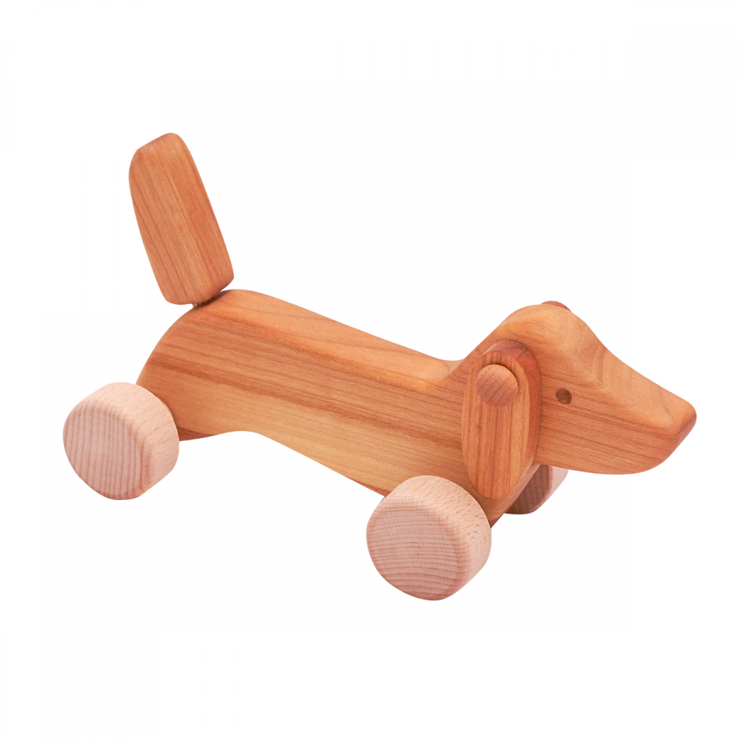 Dachshund Dog - Riding Toy (1500x1500), Png Download