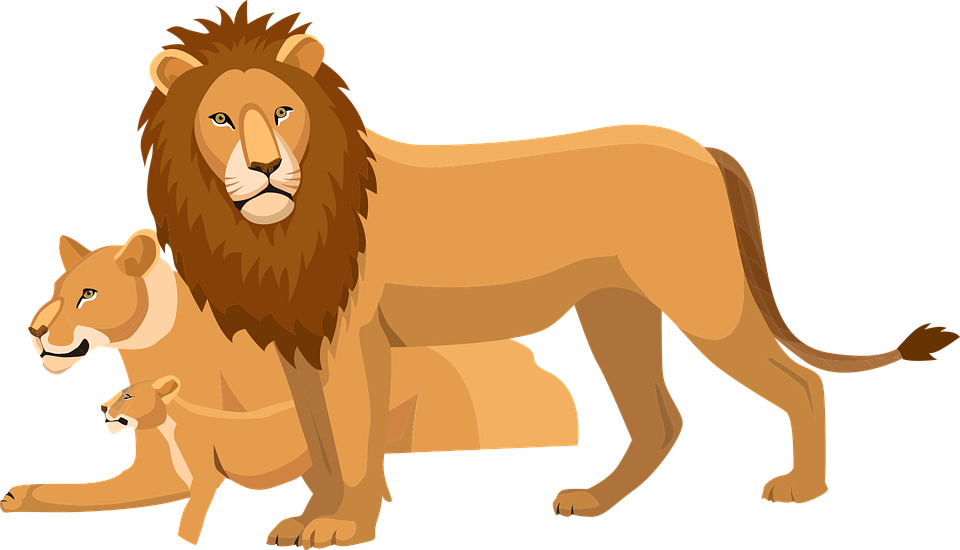 Lion Images, Lion Cub, Cat Art, Cubs, Free Pictures, - Vector Sư Tử (960x550), Png Download