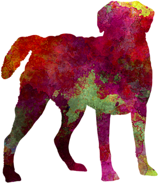 Drawing Laboratory Chesapeake Bay Retriever - Chesapeake Bay Retreiver January Notebook Chesapeake (600x480), Png Download