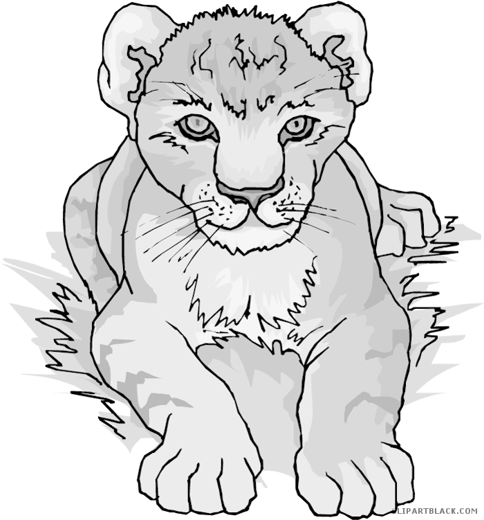 Clipartblack Com Animal Free Black White Images - Lion Cub Large Wall Clock (748x750), Png Download