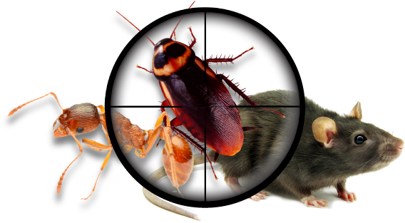 Home And Business - Pest Control Services Png (600x350), Png Download