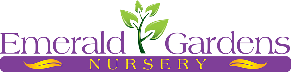 Logo - Emerald Gardens Nursery (1000x249), Png Download
