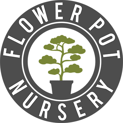 Acer - Circle (400x400), Png Download