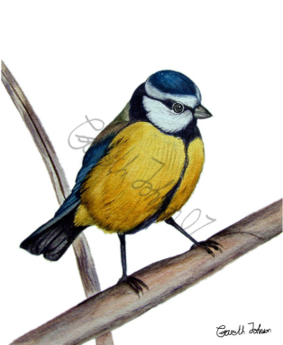 Watercolor Painting (511x381), Png Download