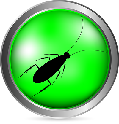 Here's A Story To Top Any “guest Sees A Cockroach In - Cockroach (400x418), Png Download