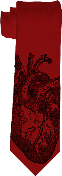 Anatomical Heart Necktie - Anatomical Heart Ornament (oval) (270x480), Png Download
