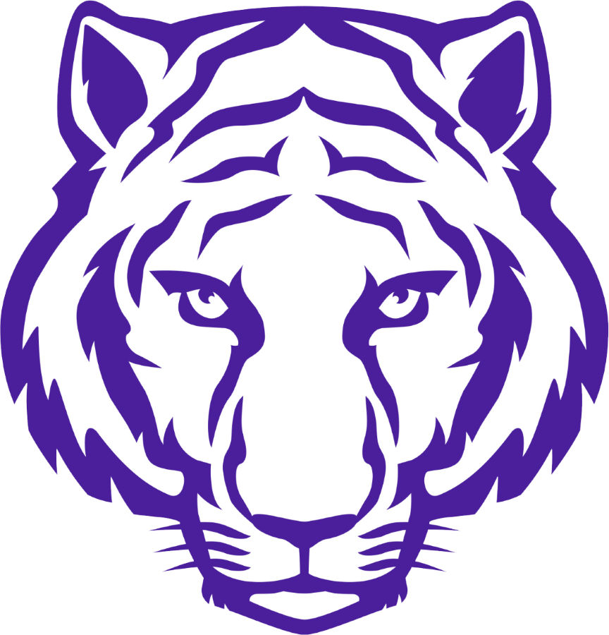 White Tiger Clipart Black And White - Tiger Face Drawing Easy (864x900), Png Download