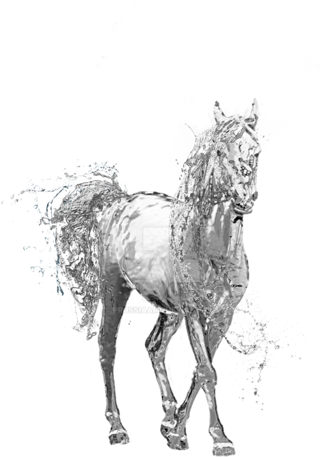 Water Horse Png Transparent Water Horse - Water Transparent Background Drawing (752x1063), Png Download