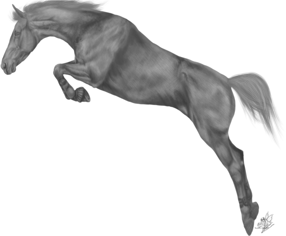Horse Greyscale By Emmy On Deviantart - Black Horse Jump Png (995x803), Png Download