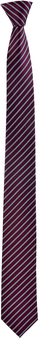 Skinny Lined Haig Tie In Maroon - Motif (800x1200), Png Download
