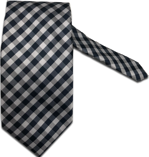 Navy And White Gingham Necktie Png Auburn Oaks Tie - Necktie (1600x1600), Png Download