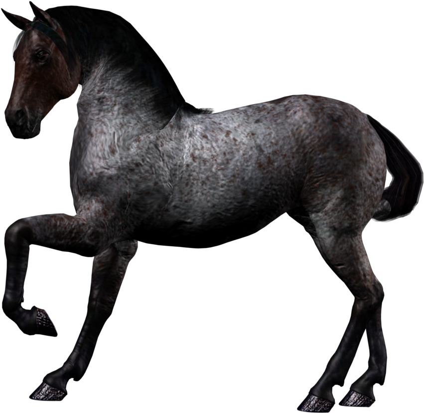 Horse Png Image - 3d Black Horse Png (1024x1045), Png Download