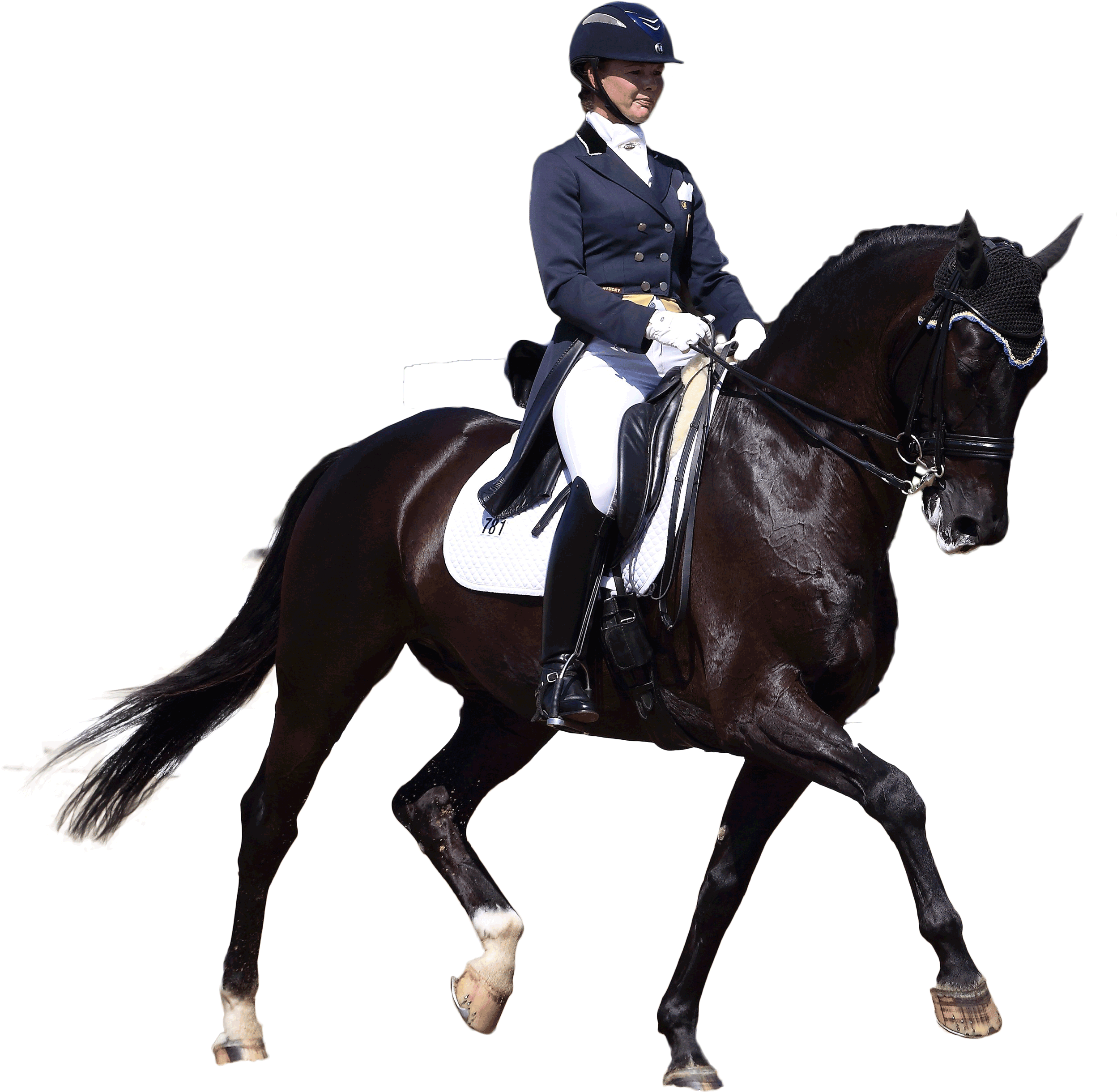 Transparent Horses Dressage - Dressage Png (4147x2764), Png Download
