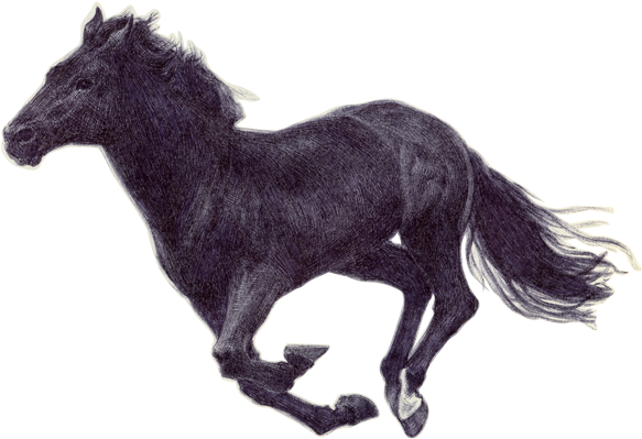 Horse Running Png Image Royalty Free Stock - Horse Running Png Gif (600x423), Png Download