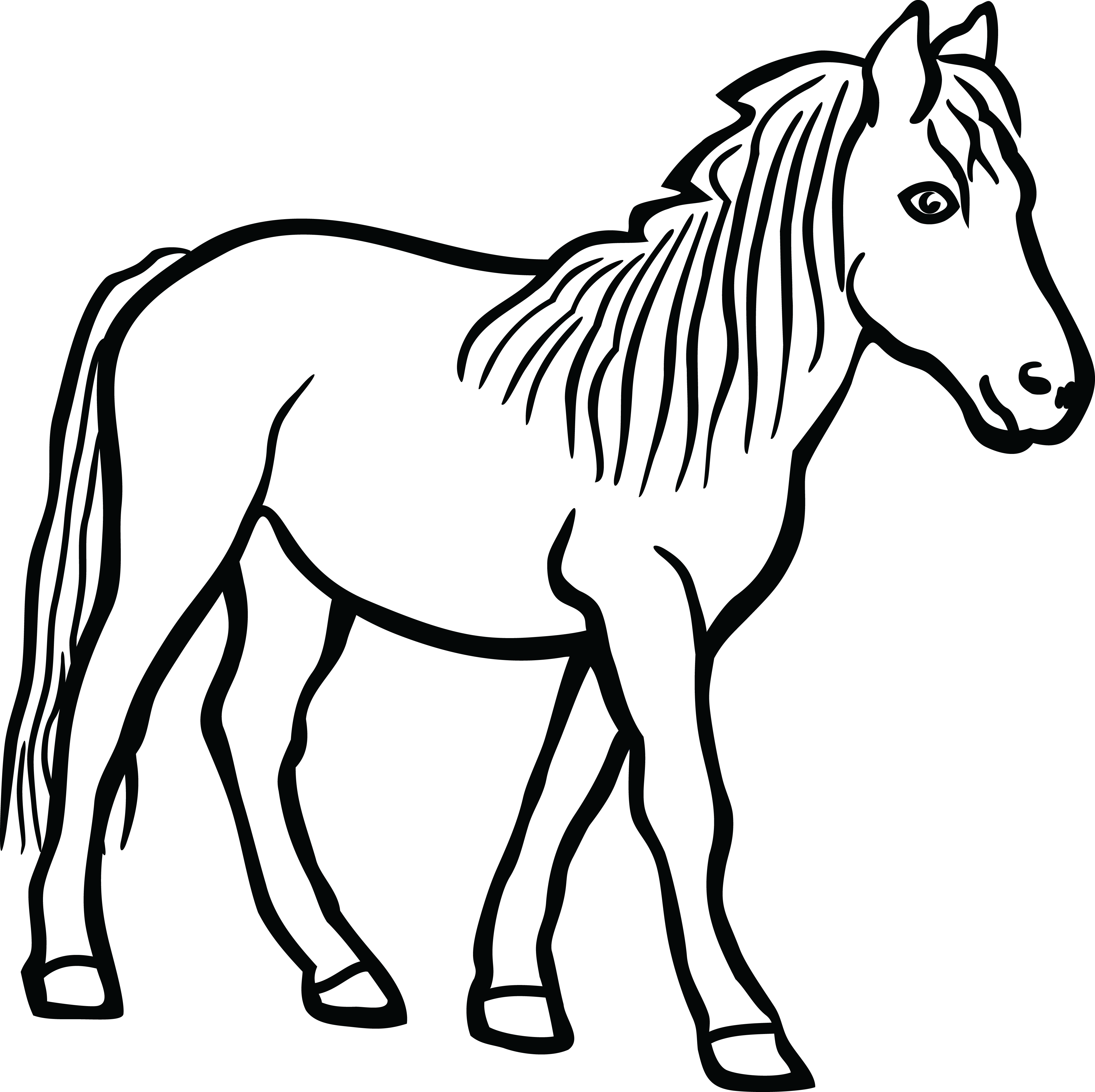 Free Clipart Of A Horse - Clip Art Of Horse (4000x3991), Png Download