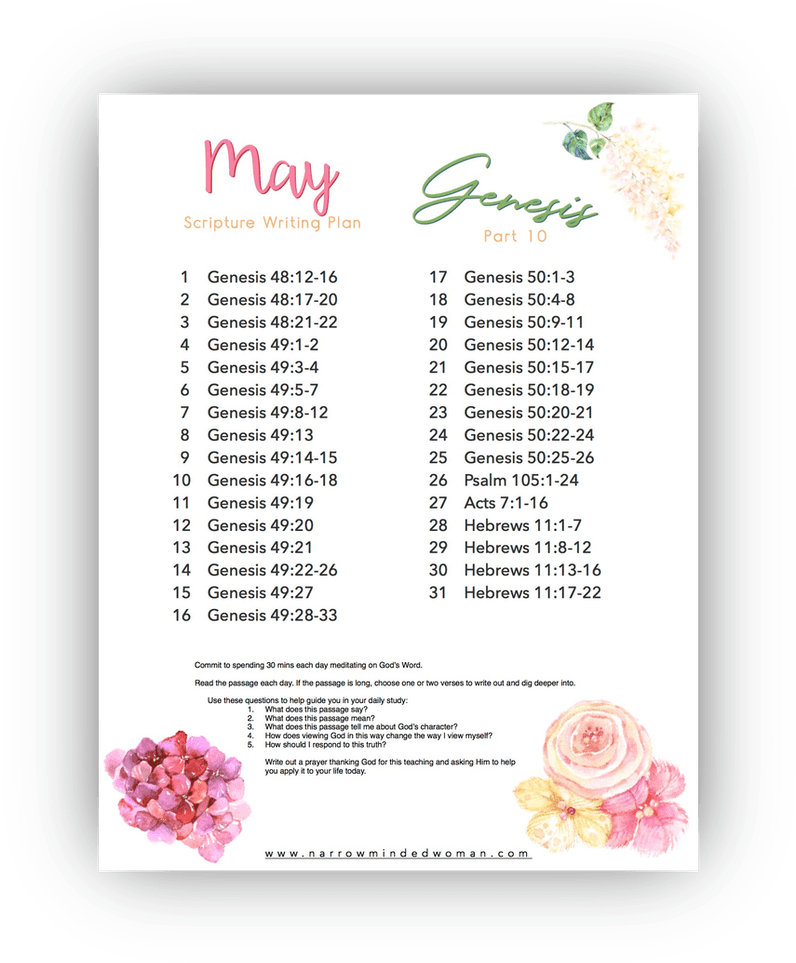 Bible - Japanese Camellia (848x977), Png Download