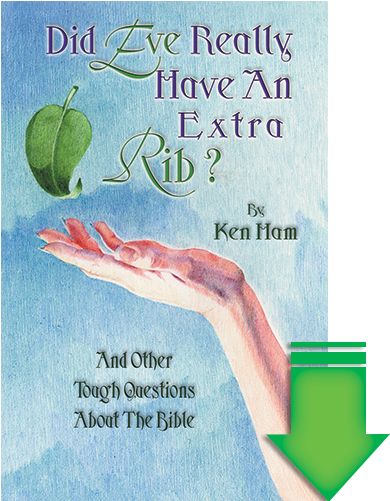 Previous - Next - Did Eve Really Have An Extra Rib? (500x500), Png Download