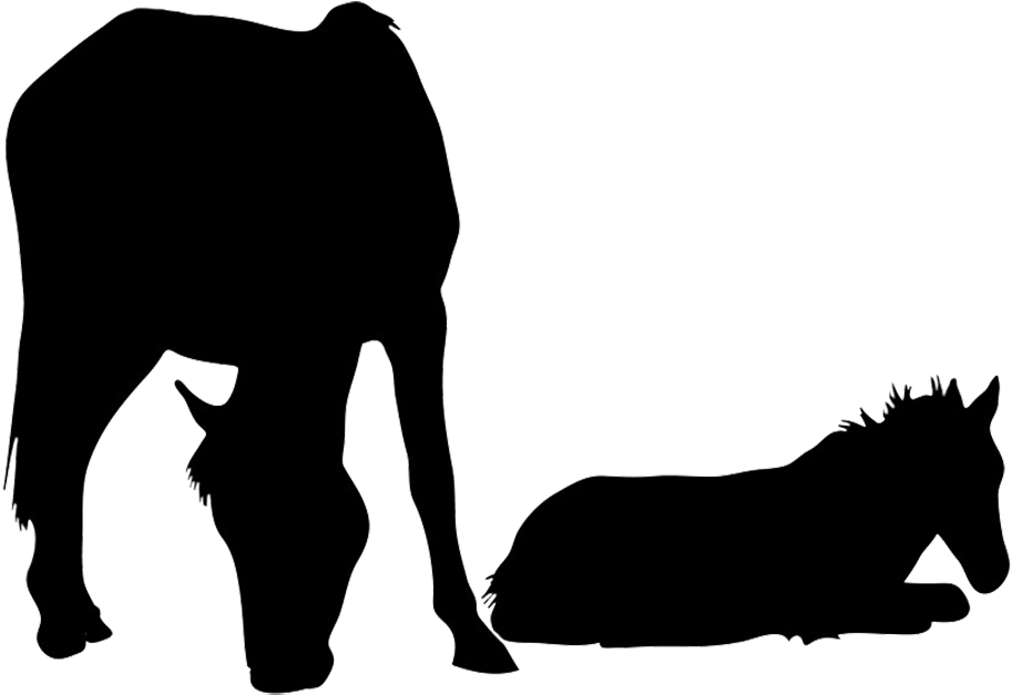 Mare And Foal Png (945x673), Png Download