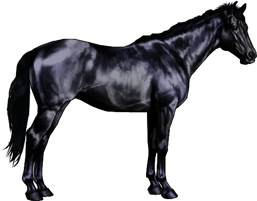 Black Is A Not So Common Color Among The Horse World - Breyer Quarter Horse (600x500), Png Download