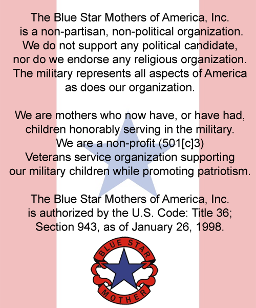 Introduction - Blue Star Mom Marine (500x600), Png Download