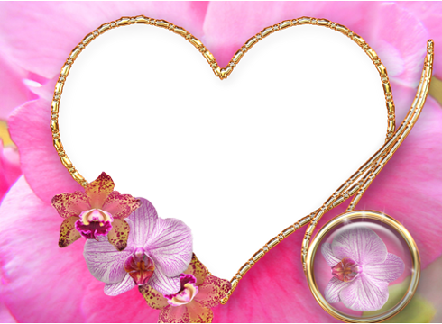 Pink Heart Frames - Wedding Photo Frame Png (490x360), Png Download