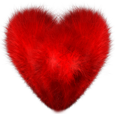 Clip Arts Related To - Fuzzy Heart (490x486), Png Download
