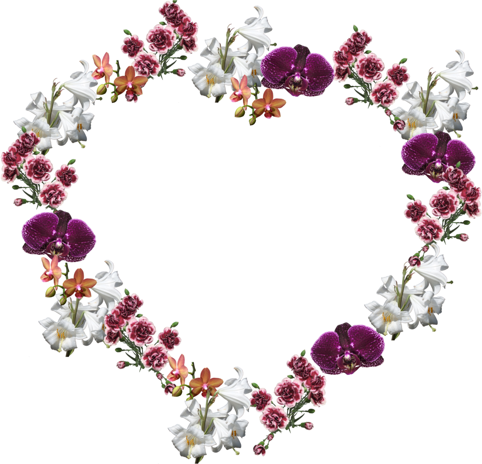 Orchid Flowers Frame Floral Carnations Love Heart - Flower Frame Photo Png (1600x1547), Png Download