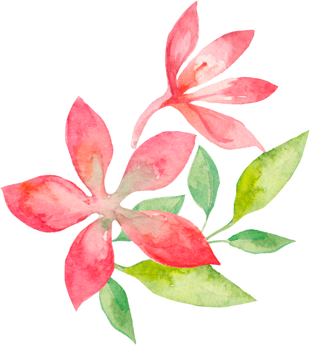 Concise Ornamental For Watercolor Flowers - Watercolor-grün-blätter-rosa Blumen Danken Ihnen Karte (1024x1140), Png Download