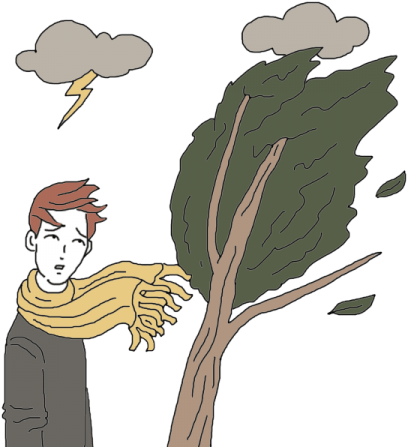 Hurricane Irma Spiritual Meaning - Cartoon Images Transparent Storm Pinetree (450x450), Png Download