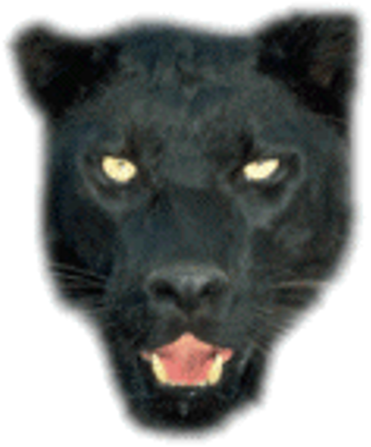 Welcome To The Official 2010 Panther's Homepage - Cats Over Cannock Chase (1024x1011), Png Download