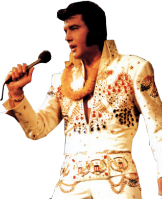 Elvis Presley - Biography Of Elvis Presley [book] (316x400), Png Download