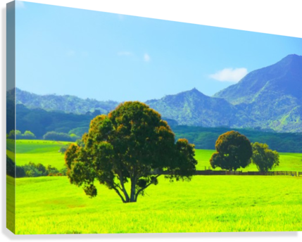 Green Tree In The Green Field With Green Mountain And - Saatchi Art (429x344), Png Download