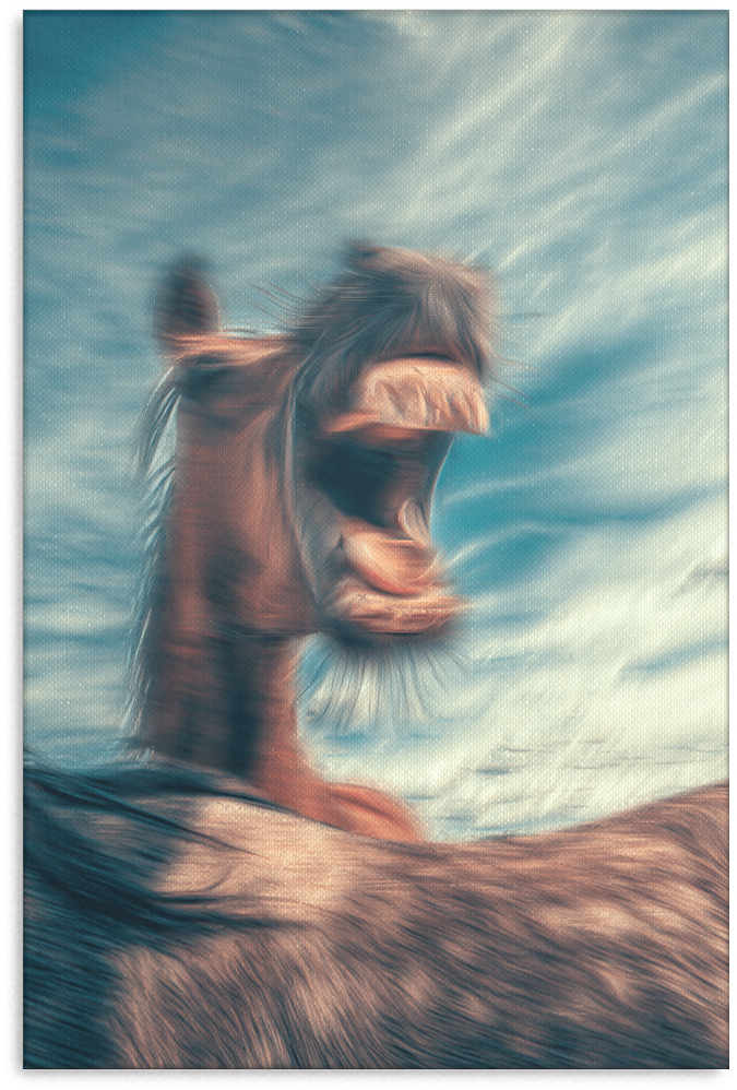 Canvas Horse Print - Designs Direct Horse Laugh 20x30 Canvas Wall Art (1024x1024), Png Download