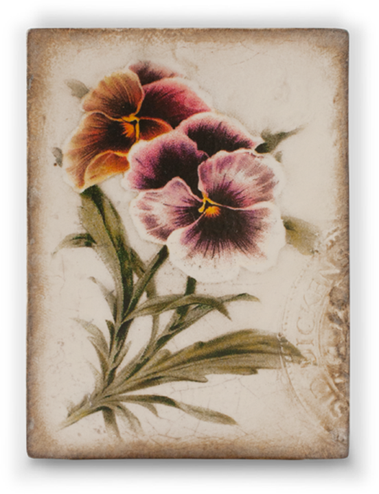 Love In Idleness - T 343 (552x720), Png Download