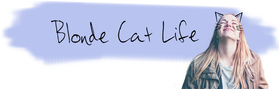 Cat (1300x432), Png Download