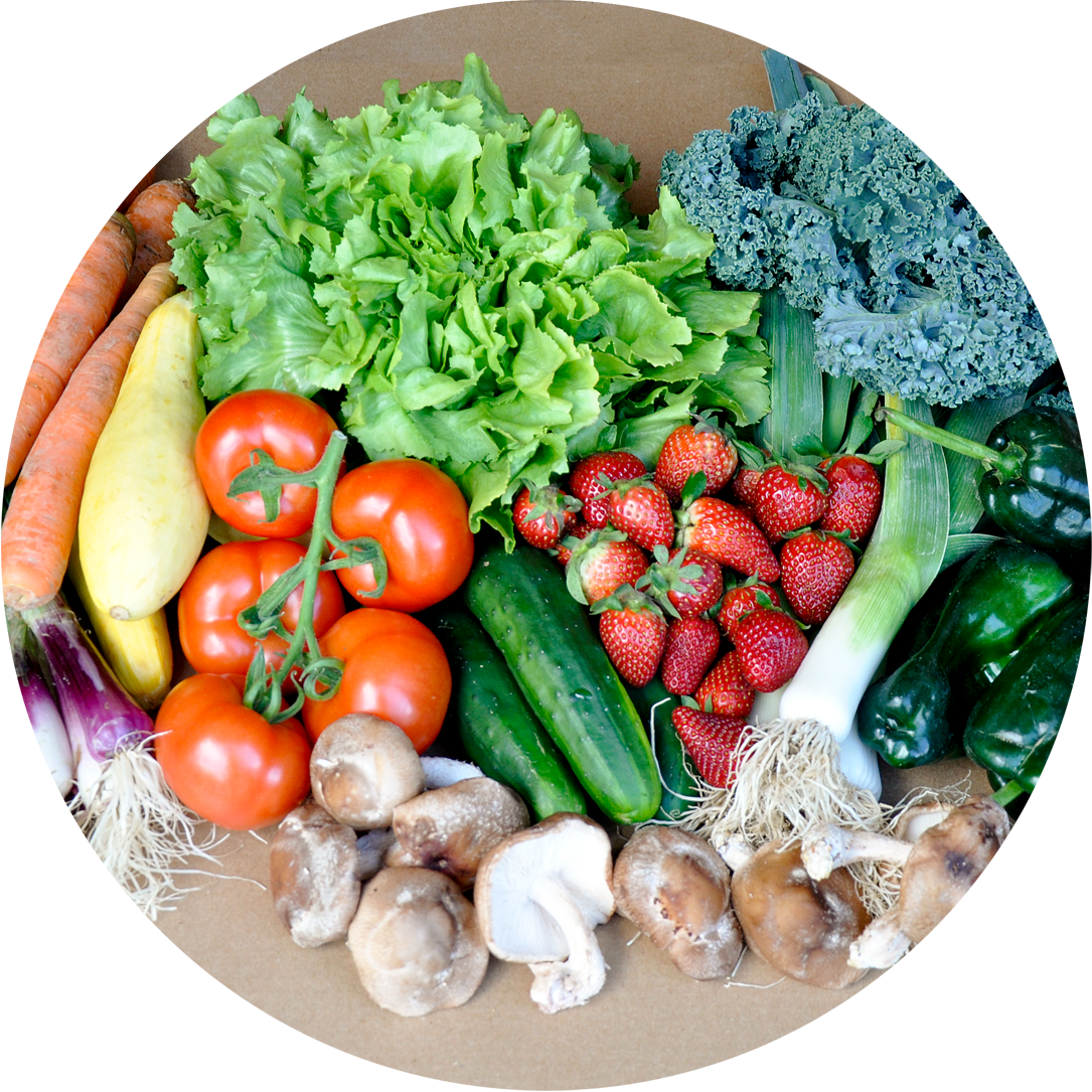 Veggie Lover Basket - Vegetables And Meat Transparent (1085x1085), Png Download