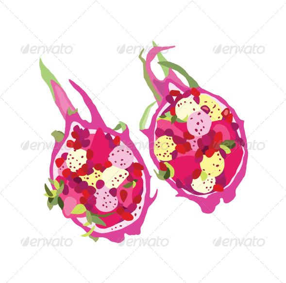 Fruits Vegs5 - Illustration (589x582), Png Download